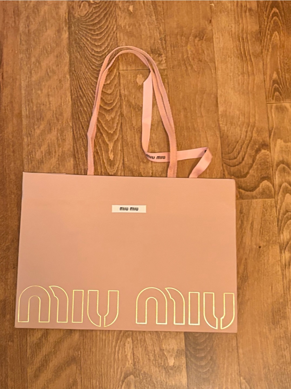 Miu Miu Blush Pink Paper Shopping Bag with Logo Print and Miu Miu Ribbon Italy
